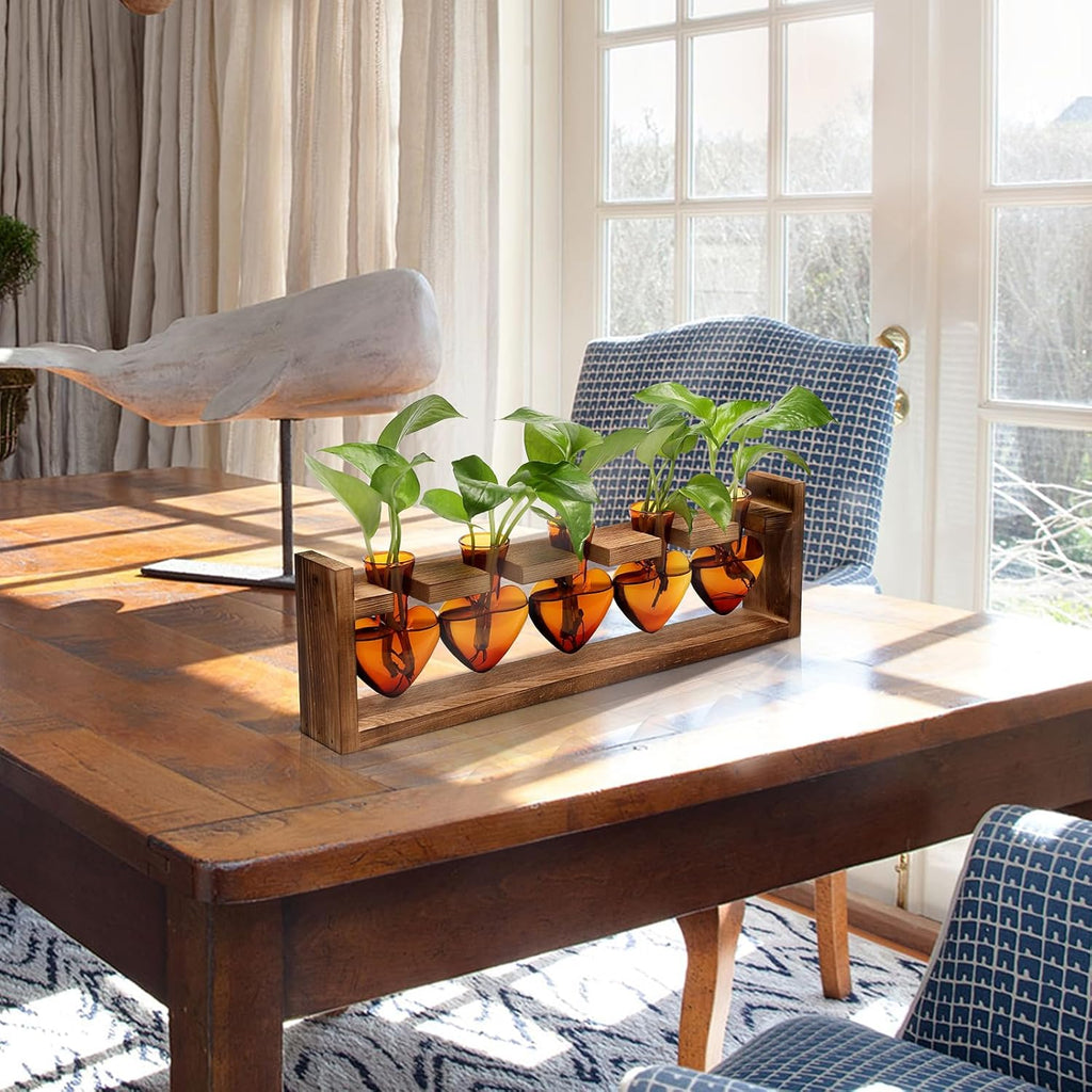 Plant Terrarium Hanging Propagation Stations Gift for Women Air Plants Holder with Wooden Stand Heart Glass