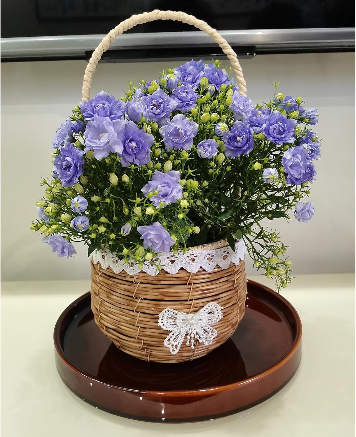 Ceramic Plant Saucer 9 Inch, Round Plant Trays for Indoors/Outdoors, Flower Pot Saucers for Holding Water Drips and Soil, Ceramic Drainage Tray for Plant Pot (Brown)