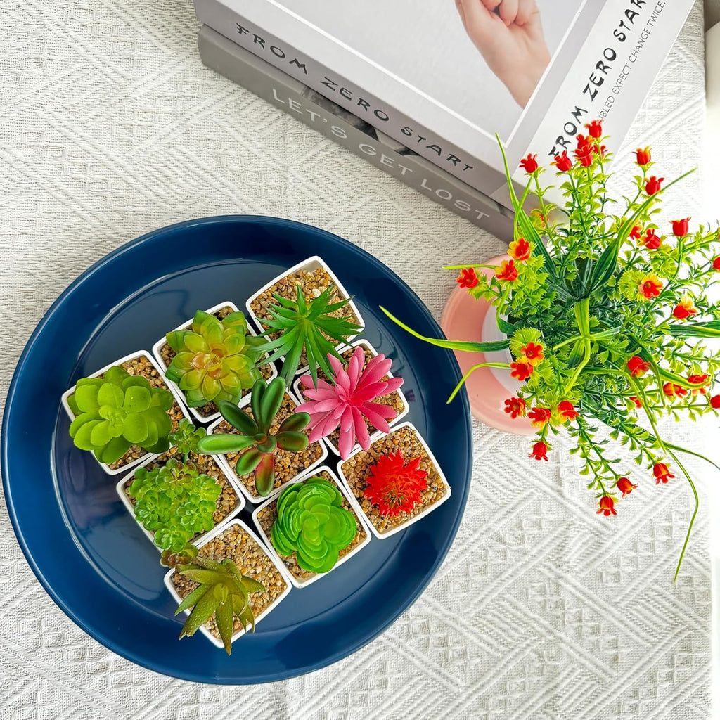 Ceramic Plant Saucers, 10 Inch (11 Inch) Plant Trays, Durable Round Glazed Ceramic Flower Plant Water Drip Tray for Pots Planter, Heavy Duty Plant Dish Plant Plate to Catch Water for Indoor & Outdoor