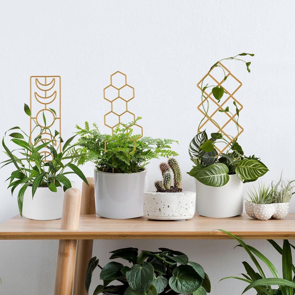 Metal Plant Trellis Indoor, 16.36 inch Small Trellis for Potted Plants Geometric Shape Lattice for Ivy Vines Hoya Houseplants Flower Support 2 Pack
