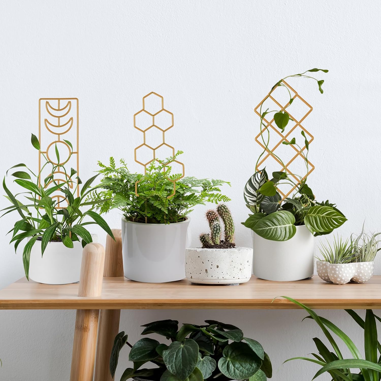 Metal Plant Trellis Indoor, 16.36 inch Small Trellis for Potted Plants Geometric Shape Lattice for Ivy Vines Hoya Houseplants Flower Support 2 Pack