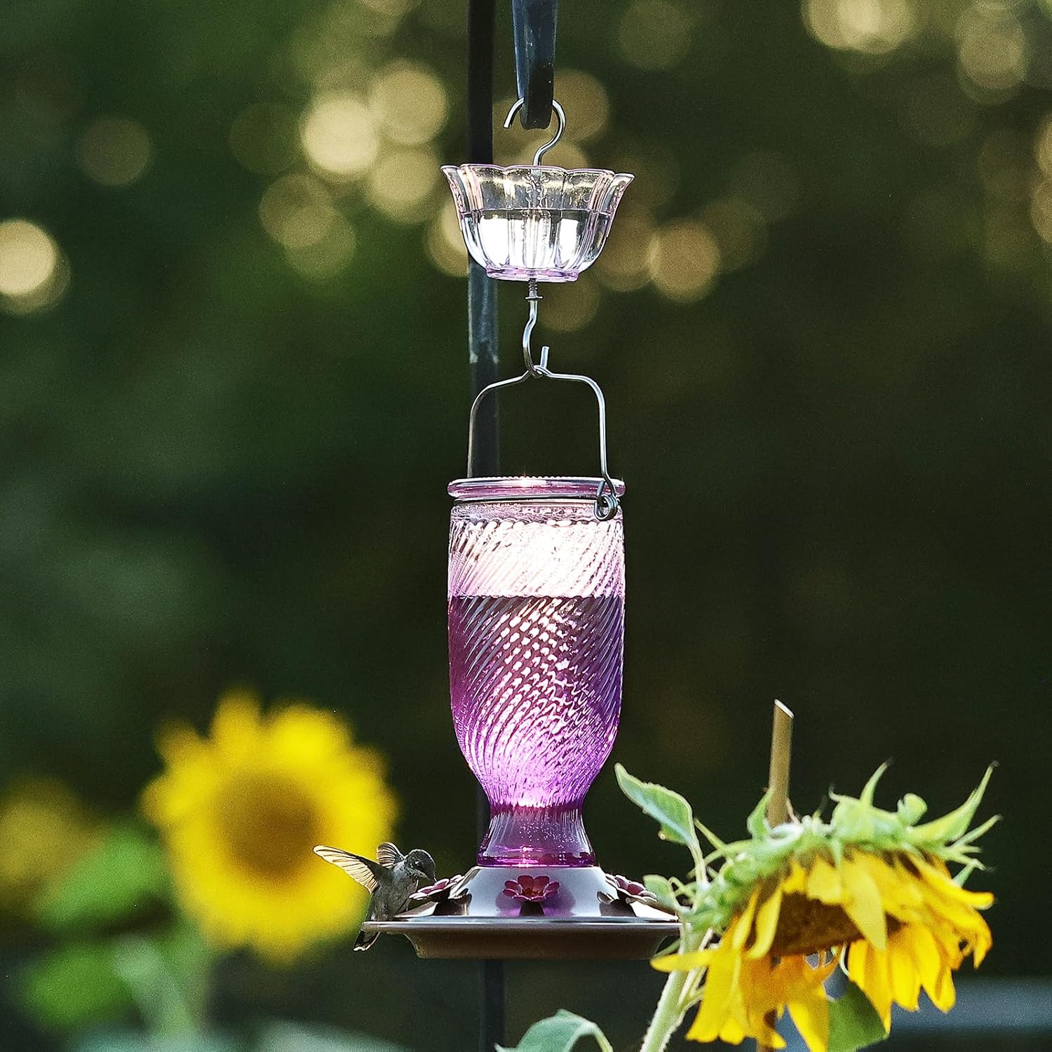 Kingsyard Glass Hummingbird Feeders for Outdoors, 24 oz Hummingbird Nectar Feeder for Outdoors Garden Yard D�cor, 6 Feeding Ports, Ant Moat Included, Easy to Clean & Refill, Purple