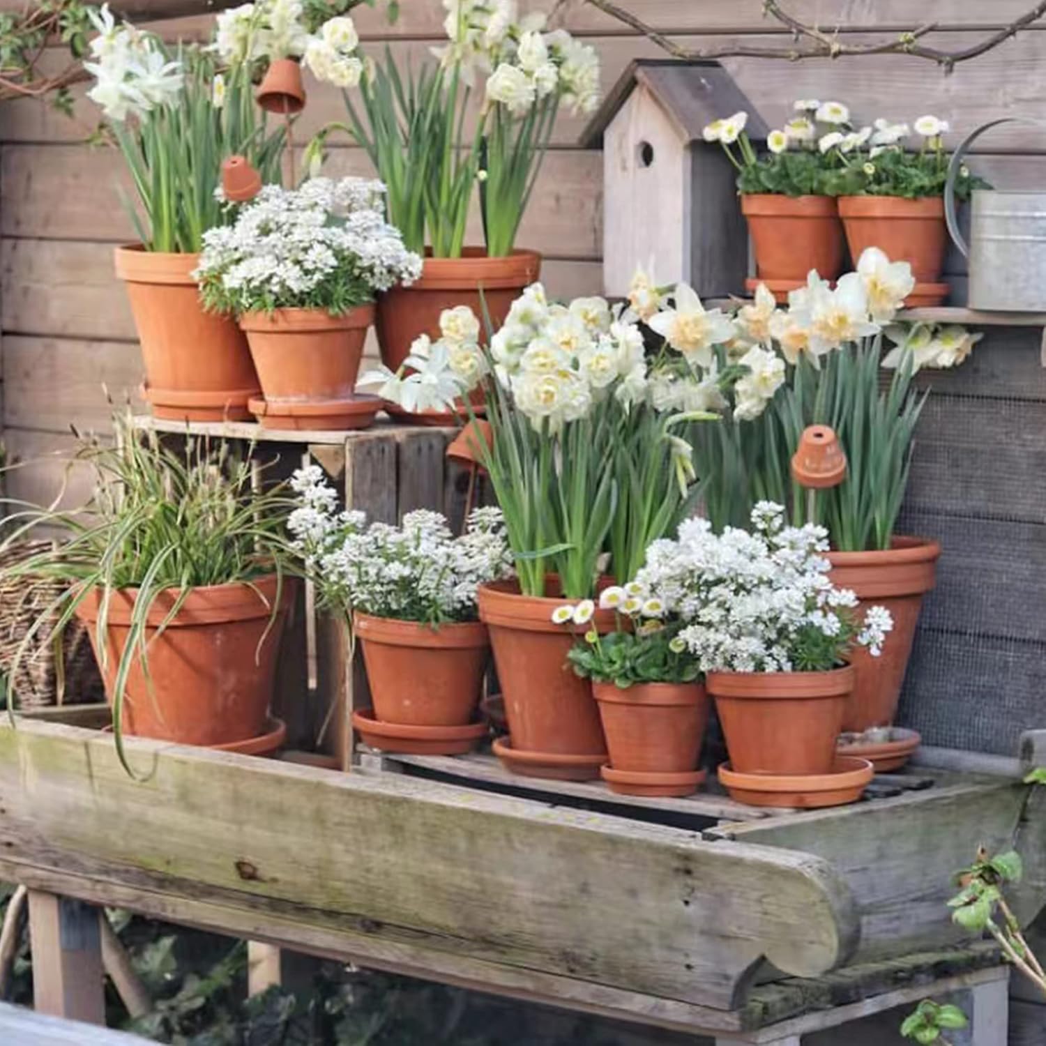 Fcacti 4.7 inch Middle Terra Cotta Plant Saucers, Round Pot Drip Trays,Durable Thicker Clay Plant Tray Flower Pot Saucers for Outdoors Indoors Flower Pots and Planters,Pack of 7