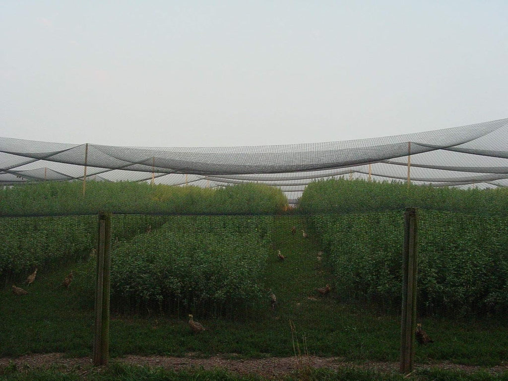 Excursions Aviary Netting 1" Heavy Knotted Poultry Net (12.5' x 100')