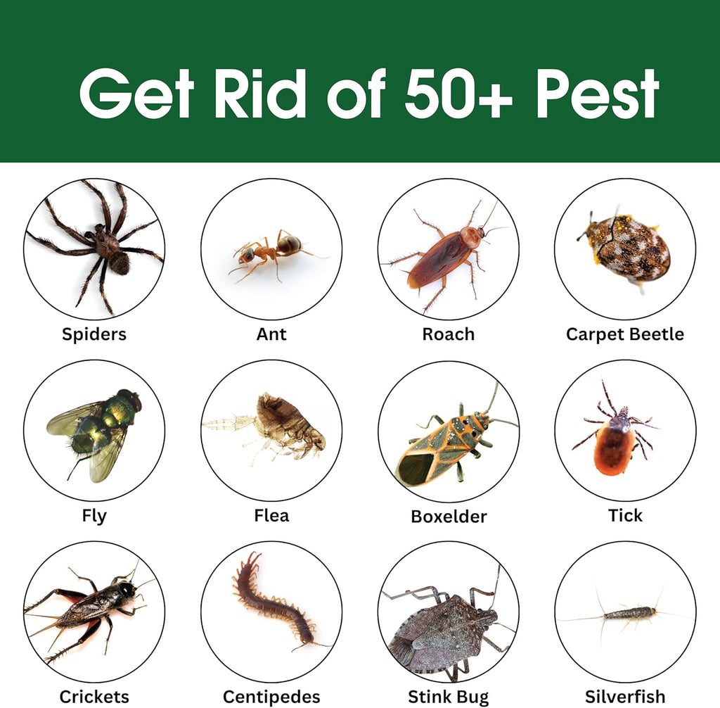 Insect & Pest Control Spray – Natural Essential - Bug Killer & Insect Repellent, Kills Ant, Spiders, Carpet Beetles, Roaches, Flies- Safe for Pets & Family, Indoor & Outdoor Use 16OZ