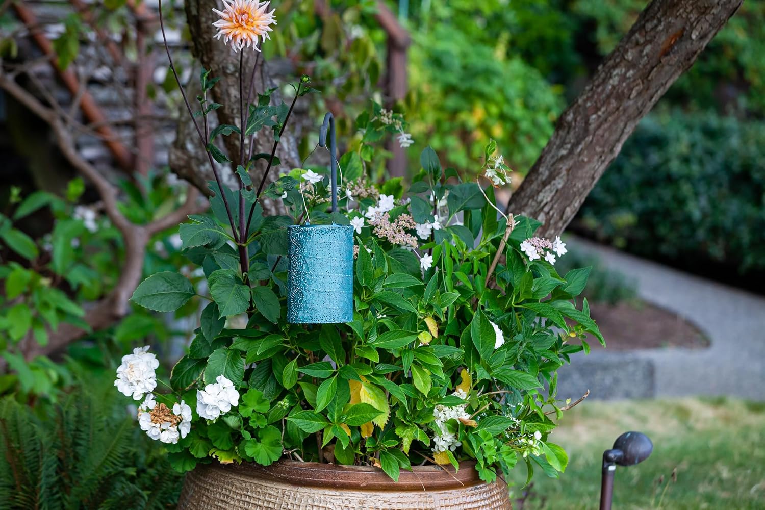 Allsop Soji Stella - Tin Art' Punched Luminaria - Cylinder - 7.5" - Outdoor Solar Latern - Metallic Emerald