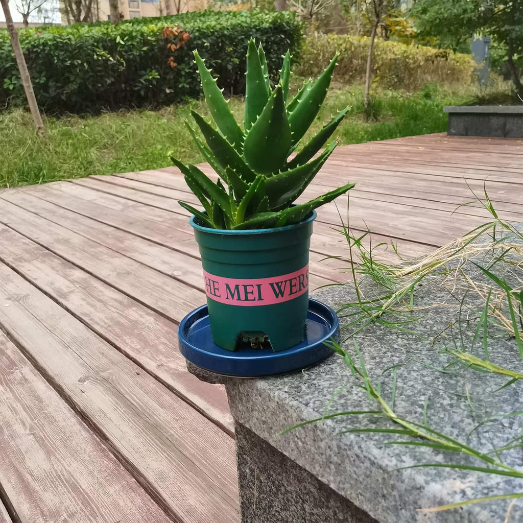Ceramic Plant Saucer 5 Inch, 2 Pack Round Plant Saucers for Indoors/Outdoors, Flower Pot Saucers for Holding Water Drips and Soil, Ceramic Drainage Tray for Plant Pot (Blue)