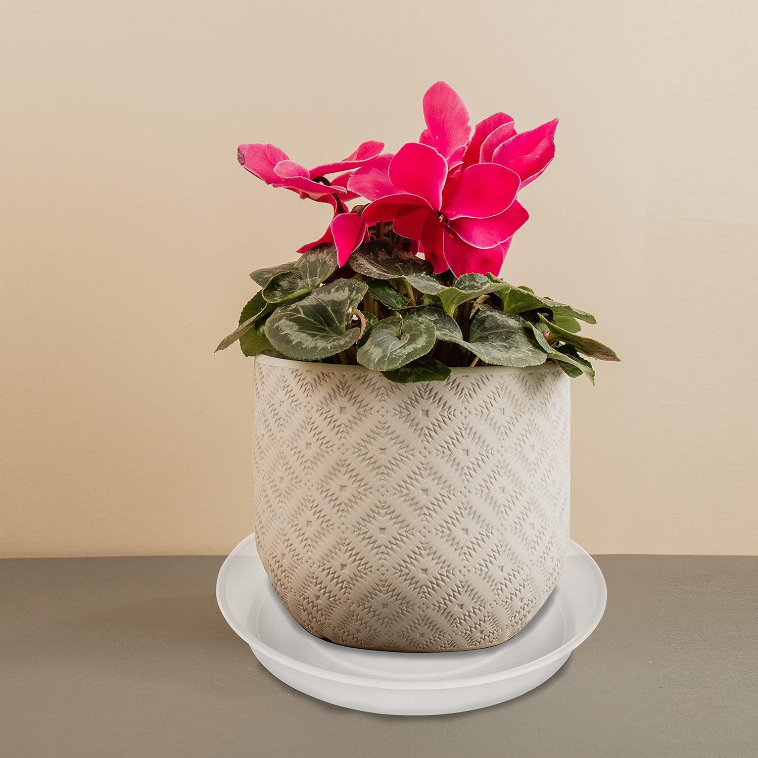 4 Pack of 14 inch Plant Saucers Bird Bath Bow Round, Plastic Plant Saucer Tray for Pots, White Planters for Indoor Plants, Plant Trays for Planter 12-15" (14", Clear)