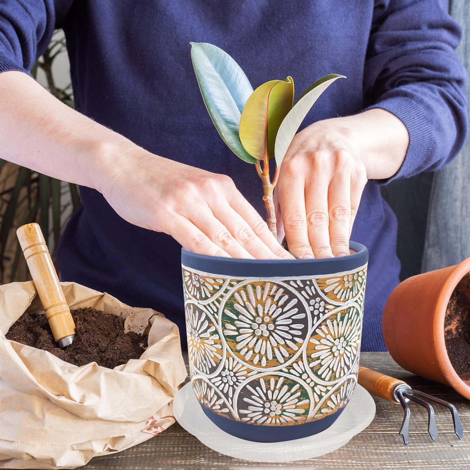 6 Pack Clear Plant Saucer 8 inch, Heavy Duty Plastic Plant Water Tray, Planter Saucers, Flower Pot Tray, Planter Tray, Bird Bath Bowls, Water Trays for Plant Pots 7"/8" (Clear)