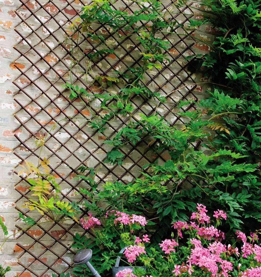 Glant Lattice Fence Expandable Plant Climbing Lattices Trellis Fence,Open Screen Fencing,Trellis Fence (2)