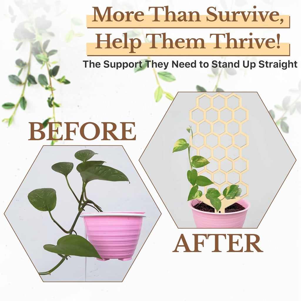 Wood Trellis for Climbing Plants Indoor & Outdoor - 2 Pack 18" Modern Honeycomb Small Plant Trellis - Stabilizing Plant Support for Indoor Plants - Small Trellis for Potted Plants to Encourage Growth