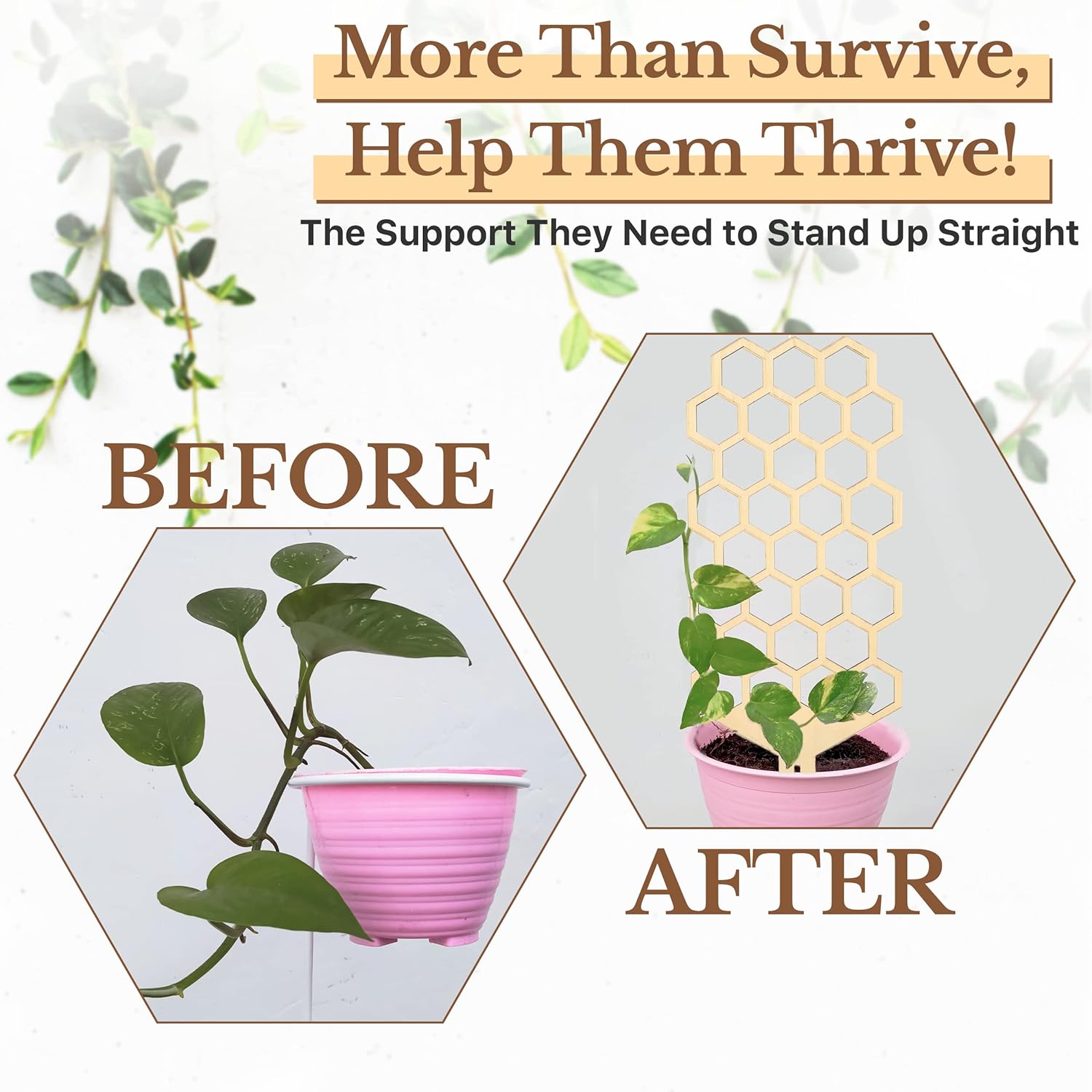 Wood Trellis for Climbing Plants Indoor & Outdoor - 2 Pack 18" Modern Honeycomb Small Plant Trellis - Stabilizing Plant Support for Indoor Plants - Small Trellis for Potted Plants to Encourage Growth