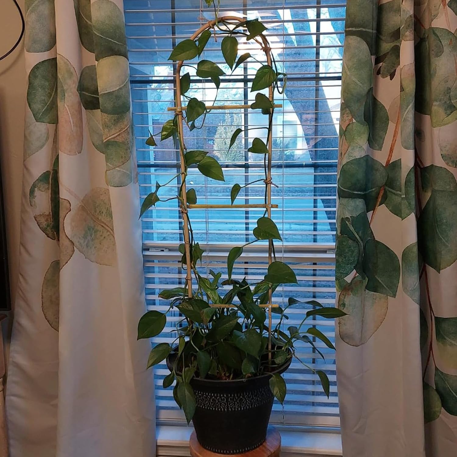 10 Pack 4ft U-Shape Bamboo Trellis for Climbing Plants, Natural Garden Trellis for Tomatoes, Cucumbers, Potted Plants, Vegetables Indoor Outdoor