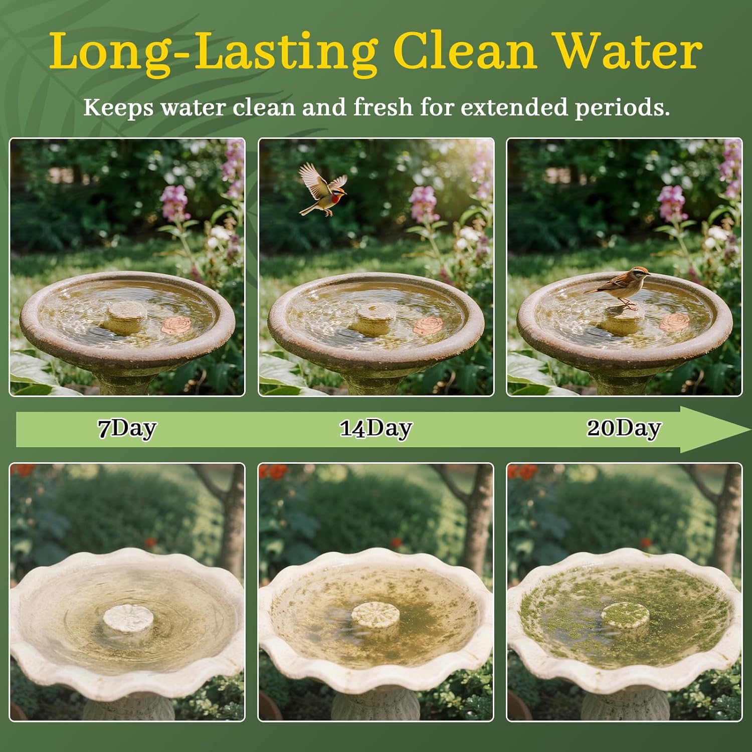 Bird Bath Copper Disk,Bird Bath Purification Disk 0.6mm Reinforced 99.99% Pure Copper Cleaning Disk with 3-Point Support,Fits Outdoor Birdbath & Bowl,Provide Safe Clean Water,Rose-4Pcs