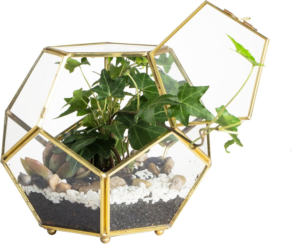 NCYP 6.89 x 6.89 x 5.9 inches Glass Geometric Terrarium Planter with Door and Foot, Pentagon Ball Shape Close Flower Pot for Fern Succulents Plants, Small, Gold (No Plants)