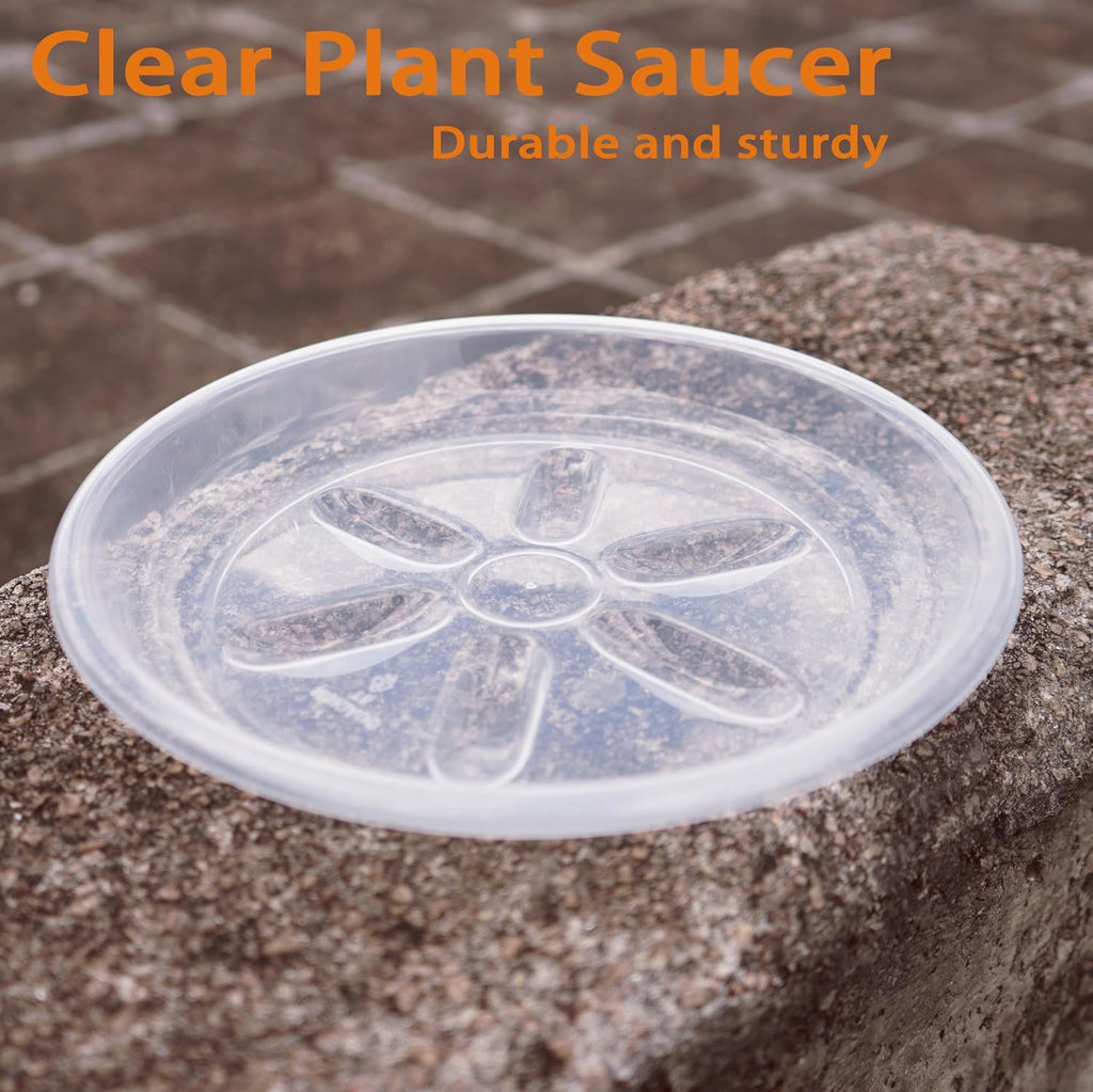 6 Pack of Plant Saucer 10 inch, Heavy Duty Clear Plastic Plant Trays, Plant Pot Saucers, Plant Water Tray for Planters
