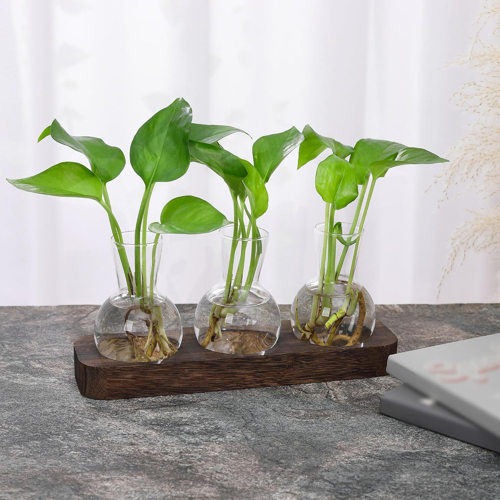 YIBOT Propagation Stations,Plant Propagation Vase,Desk Plant Terrarium with Retro Wooden Stand,Plant Lover Gifts for Women for Hydroponics Plants Home Garden Wedding Decor(3 Vase)