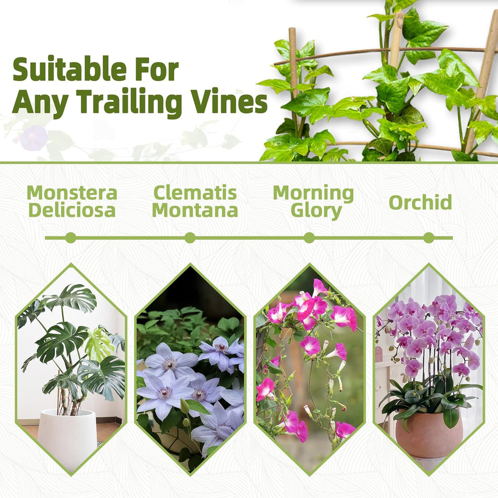 10 Pack 16" Bamboo Trellis for Climbing Plants-Natural Garden Ladder Fan -Shaped Plants Support Trellis for Potted Plant Decor in Door