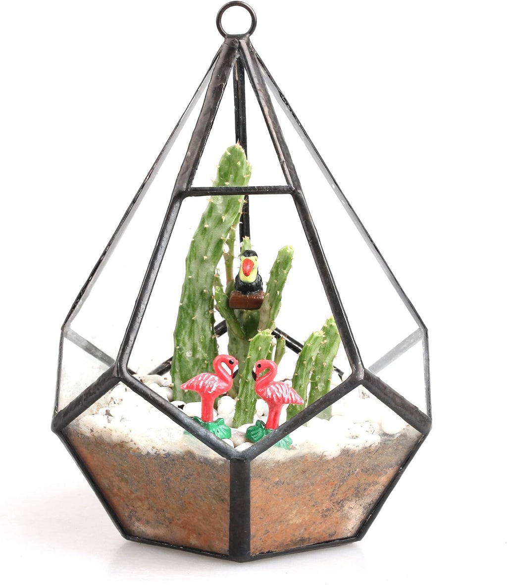 NCYP Mini Wall Hanging Glass Terrarium, 4.5 x 4.5 x 5.3 inches Diamond Shape Geometric Terrarium for Succulent Plant, Desktop Decor, Mini Centerpiece, Modern (Plants Not Included)