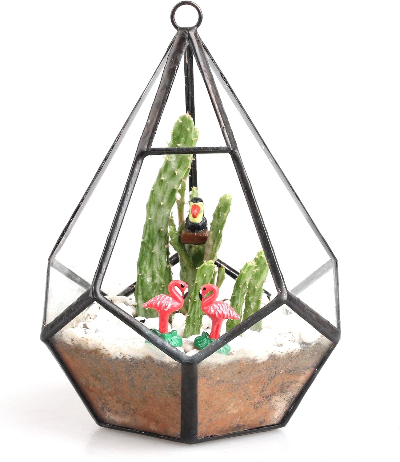 NCYP Mini Wall Hanging Glass Terrarium, 4.5 x 4.5 x 5.3 inches Diamond Shape Geometric Terrarium for Succulent Plant, Desktop Decor, Mini Centerpiece, Modern (Plants Not Included)