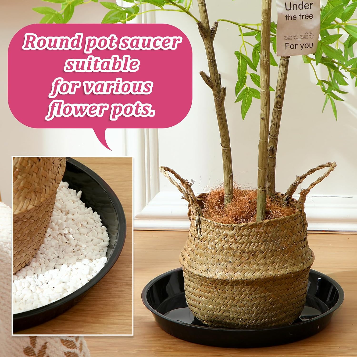 Eccliy 6 Pack Plastic Plant Saucer Heavy Duty Planter Saucers Large Plant Pot Plastic Water Trays for Indoors and Outdoors Flower Drip(14 Inch,Black)