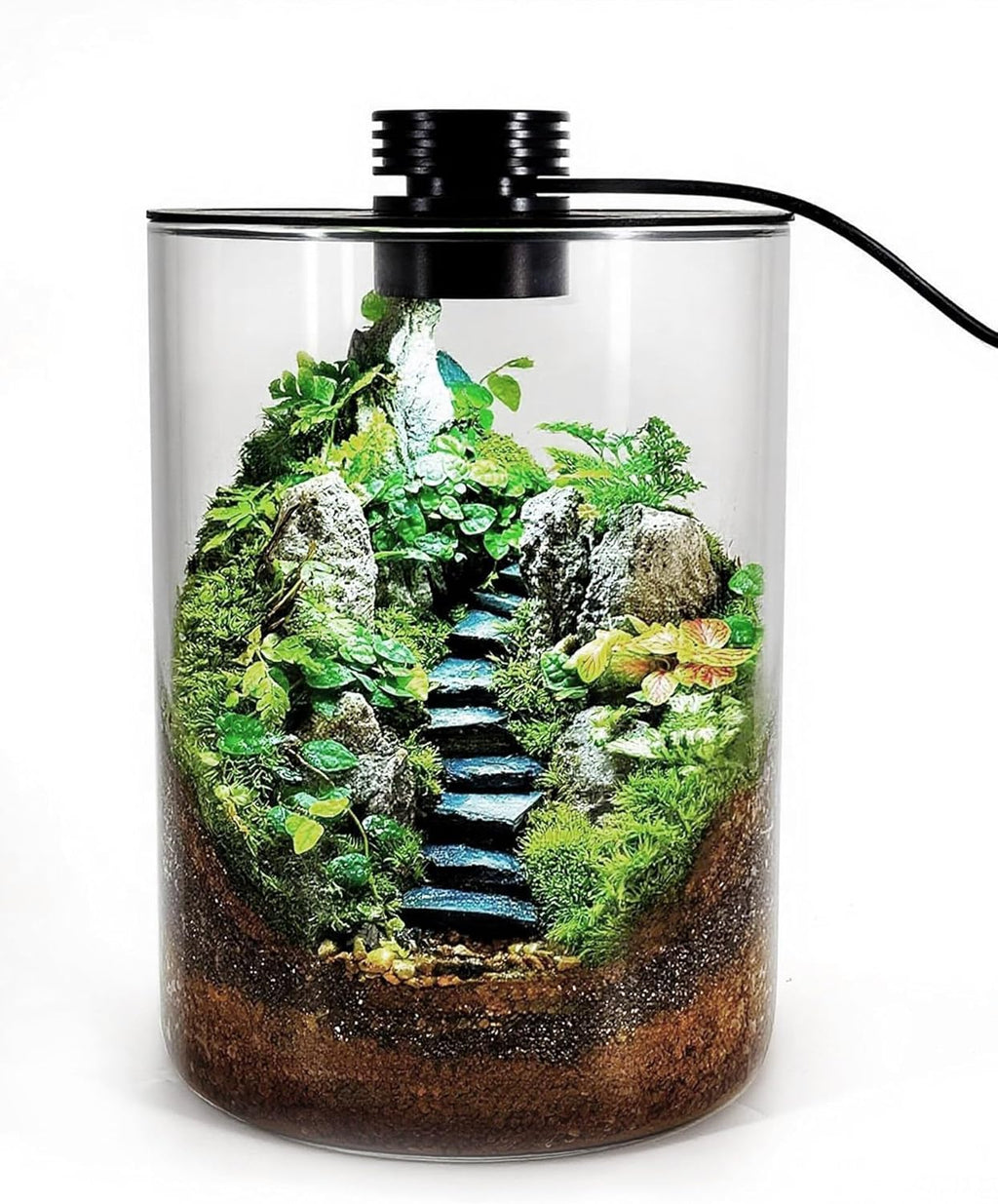 Desktop Glass Terrarium with Grow Light (7.5" H x 5.9" D) - for Succulents, Moss, Mini Gardens, Betta Fish Tanks, Mushroom Cultivation | Indoor Plant Growth | Office/Home Decor | Plant Lover Gifts