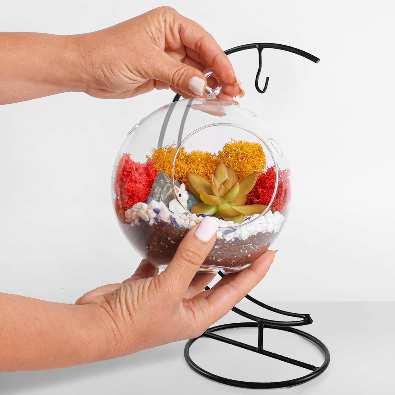 5" Glass Globe Succulent Terrarium Kit, Hanging DIY Starter Kit for Kids and Adult, Metal Stand, Reindeer Moss, Crystal & Rocks, Tools, Figurine (Live Plant Included)