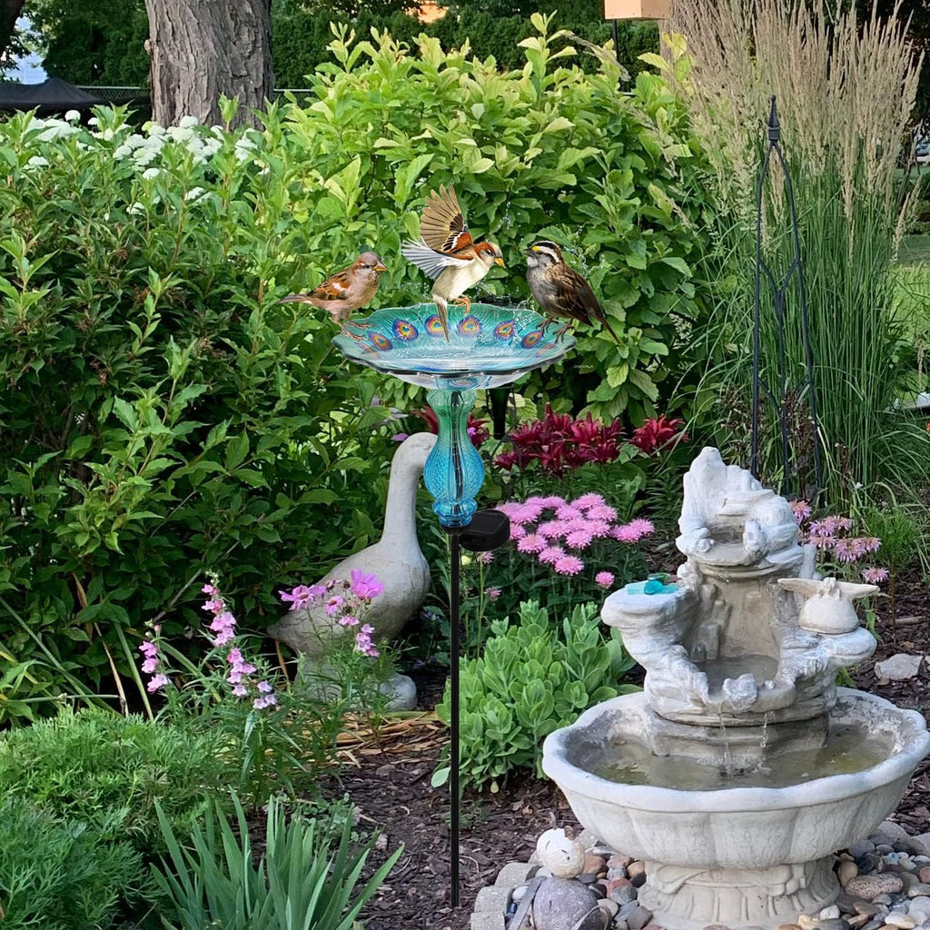 John's Studio Peacock Bird Bath for Outdoor - Glass Bowl Solar Light Cage Outside Dish Bird Feeder with Metal Stake for Garden, Yard and Patio - 32 inches