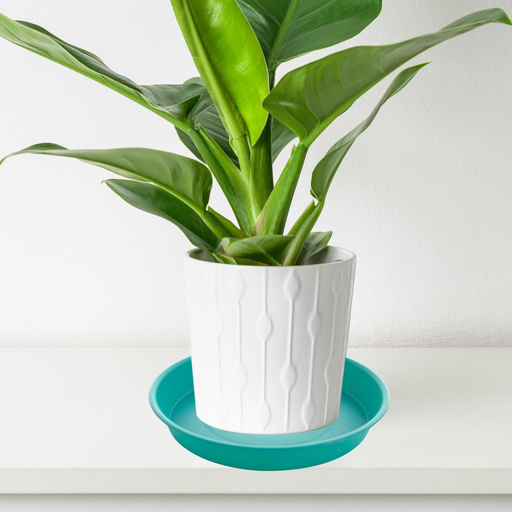 6 Pack of 8 inch Plant Saucer Blue, Plastic Plant Water Tray 8 inch Round, Flower Plant Saucers for Indoors, Dlant Dishes Saucer for Planter 7"/8" (8", Teal)