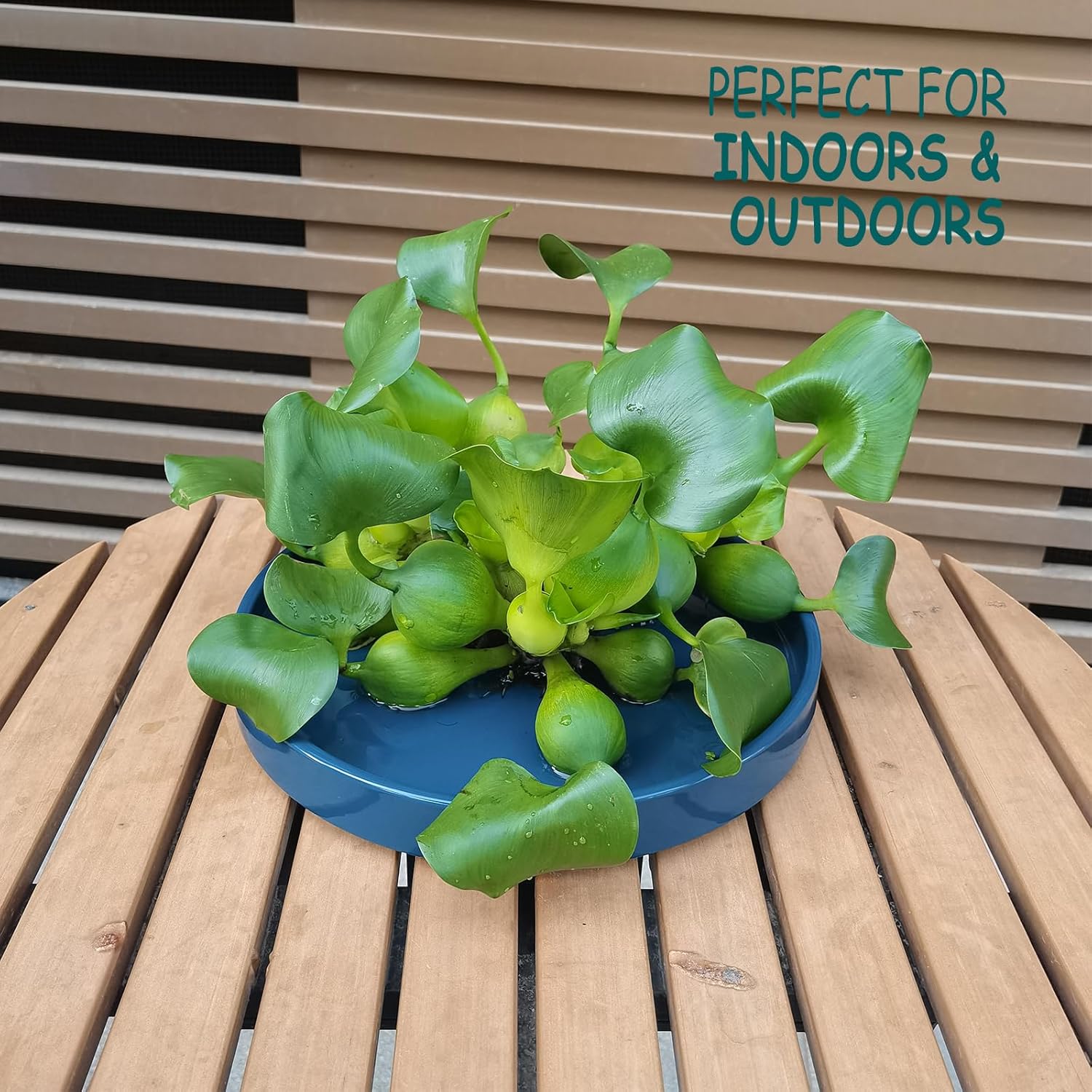 Ceramic Plant Saucer Pot Tray 10 Inch, Blue Planter Saucers 5 7 9 10 12 Inch for Indoors Outdoor, Flower Pot Saucers for Holding Water Drips and Soil