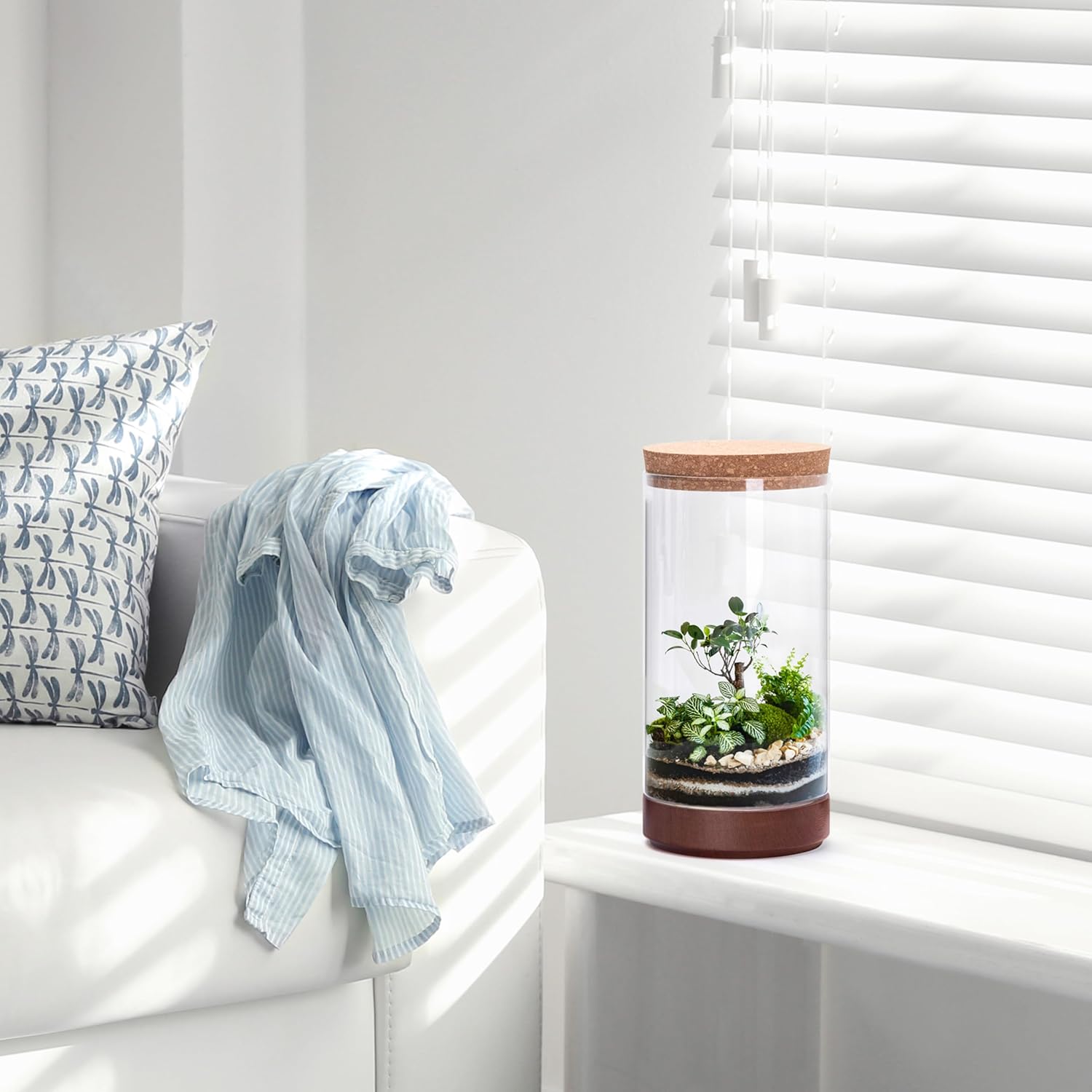 Clear Glass Houseplant Terrarium Planter, 6" W x 12" H, Cylindrical Terrarium with Wooden Base & Cork Lid | Versatile Tabletop Decoration for Home or Office or Hydroponics (Plant Not Included), 41-A-L