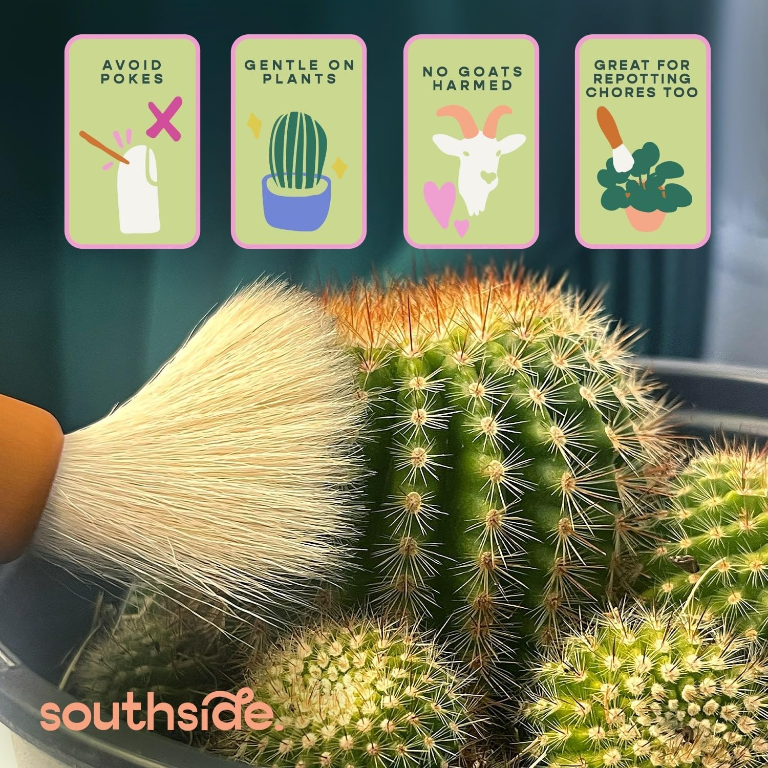 Southside Plant Cactus & Succulent Plants Cleaning Brushes - Wooden Handles w/Soft Goat Hair Bristles - Garden Cleaning Tools, Gentle on Plants, 7" & 3.2" Sizes - Pack of 2