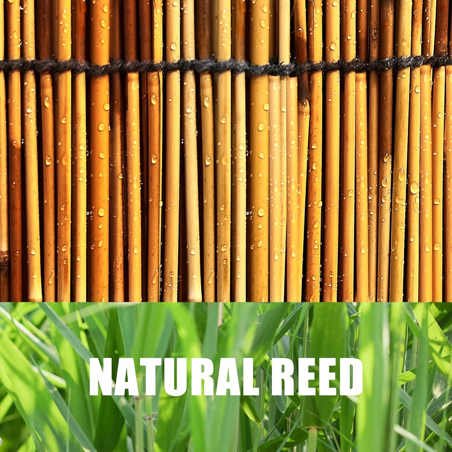 1 Pack Reed Fencing Rolls, Decorative Bamboo Fencing 6ft High Roll Reed Screen, Bamboo Reed for Balcony Patio Garden Backyard Outdoor