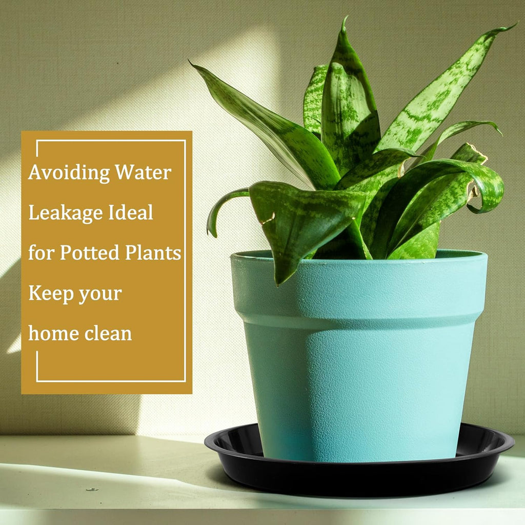 Eccliy 6 Pack Plastic Plant Saucer Heavy Duty Planter Saucers Large Plant Pot Plastic Water Trays for Indoors and Outdoors Flower Drip(10 Inch,Black)