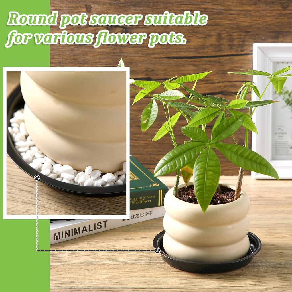 Eccliy 12 Pcs Plastic Plant Saucers Round Plant Tray Large Flower Pot Heavy Duty Planter Water Trays Thick Planter Drip Saucers for Indoors and Outdoors(6 Inch,Black)