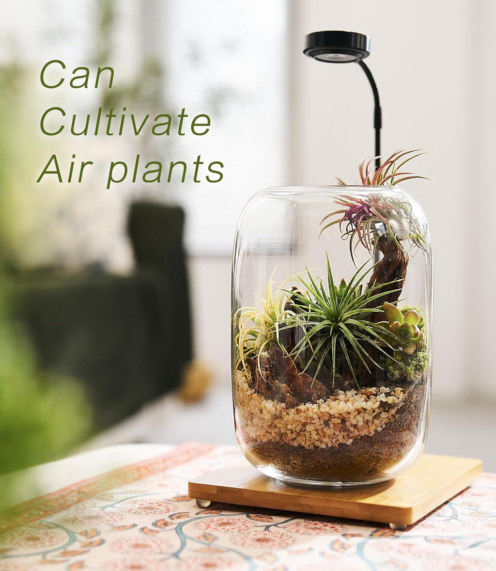 Terrarium Kit/Supplies Terrarium Plants Set with Grow Light, for Succulents Miniature Gardening, Include Terrarium jar Tool Set Live Moss Rocks Soil Driftwood and Decor, for Plant Lovers