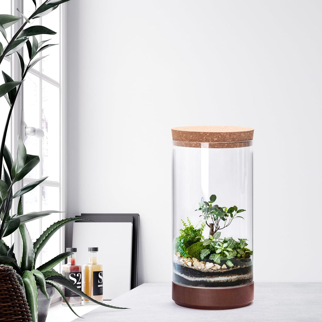 Clear Glass Houseplant Terrarium Planter, 6" W x 12" H, Cylindrical Terrarium with Wooden Base & Cork Lid | Versatile Tabletop Decoration for Home or Office or Hydroponics (Plant Not Included), 41-A-L