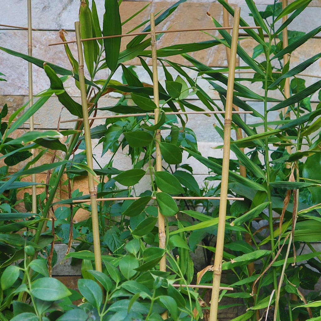 10 Pack 2ft Bamboo Trellis for Climbing Plants-Natural Garden Ladder Trellis, Fan -Shaped Support Trellis for Potted Plant Decor in Door