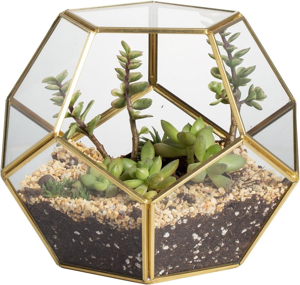 NCYP Glass Terrarium for Small Cactus, Succulents - Gold Geometric Planter Pot, Home Office Tabletop Miniature Garden Decor, 6.89 x 6.89 x 5.9 Inches, Handmade (No Plants, No Door)