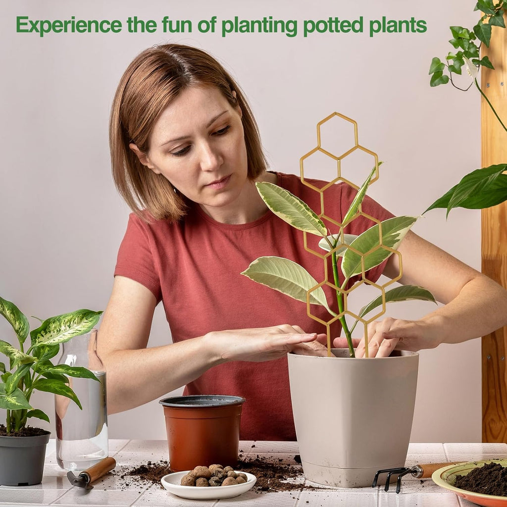 Plant Trellis for Climbing Plants Indoor, 16.75 Inch Gold Small Garden Metal Houseplant Trellis for Potted Plants Outdoor with Different Patterns for Vine Ivy Flower Plant Support Lover Gifts Lattice