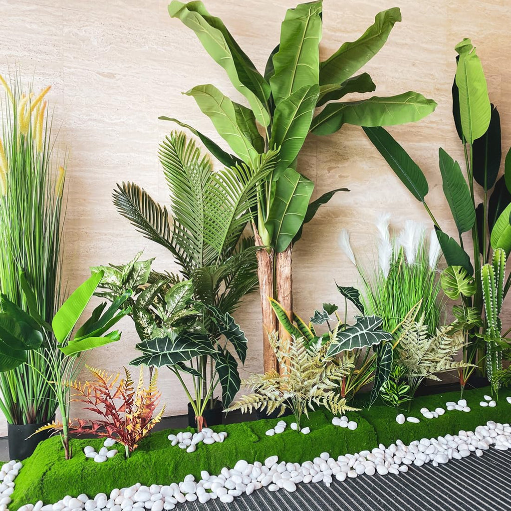 10lbs White River Rocks, 2-3 Inch Natural Pebbles for Indoor Plants, High Polished Decorative Stones Vase Filler Fish Tank Aquariums Landscaping Garden Outdoor and Indoor DIY