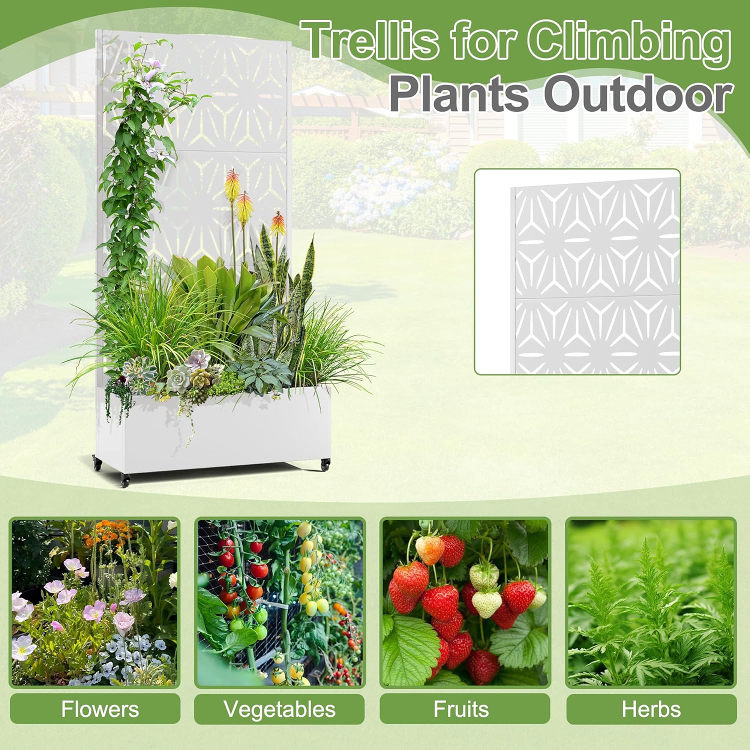 Raised Garden Bed with Trellis and Wheels,73"x35"x16" Metal Raised Garden Bed,White Star Metal Planter with Climbing Trellis for Vines & Vegetables