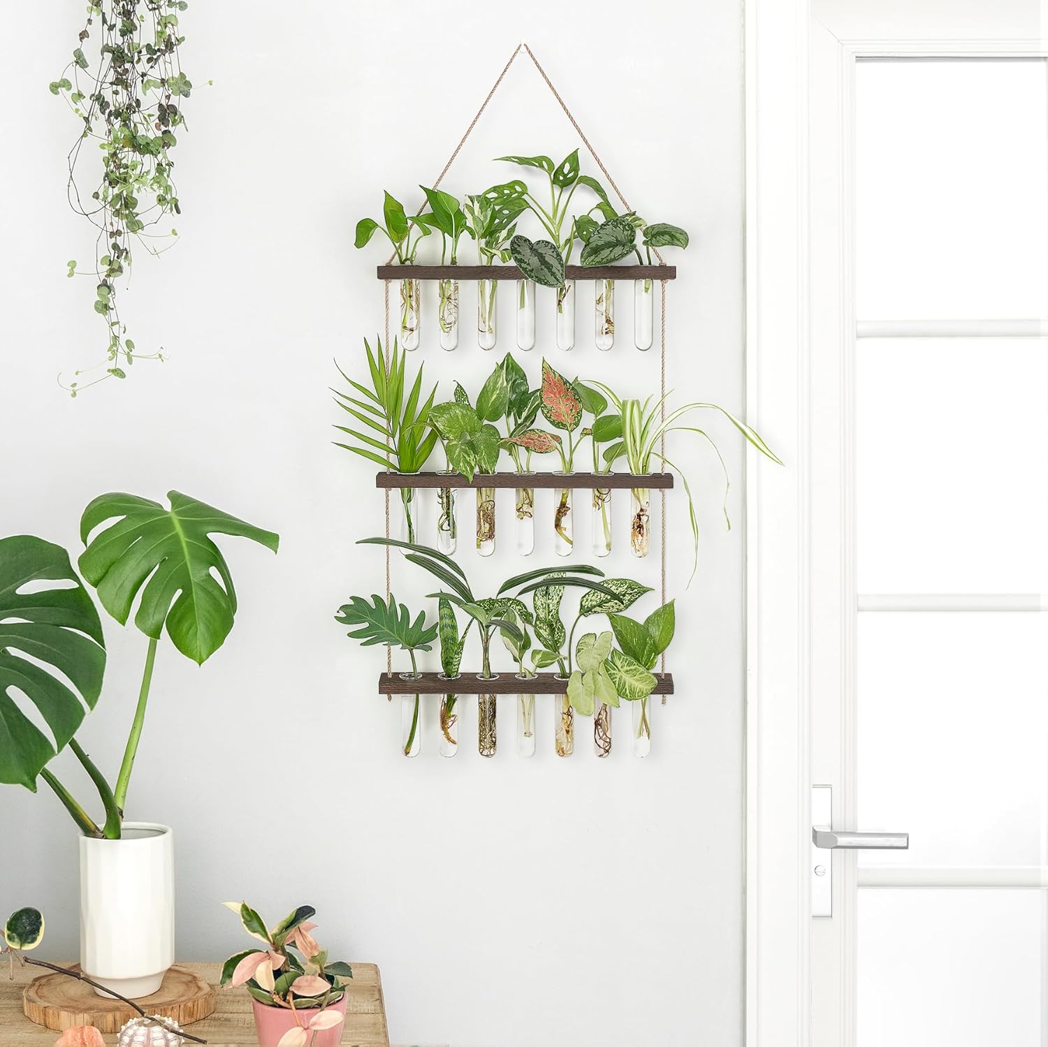 Mkono Plant Propagation Tubes, 3 Tiered Wall Hanging Terrarium with Wooden Stand & 21 Test Tube Vases for Hydroponic Plant Cutting & Home/Office Decor