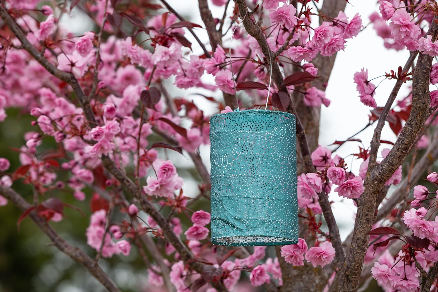 Allsop Soji Stella - Tin Art' Punched Luminaria - Cylinder - 7.5" - Outdoor Solar Latern - Metallic Emerald