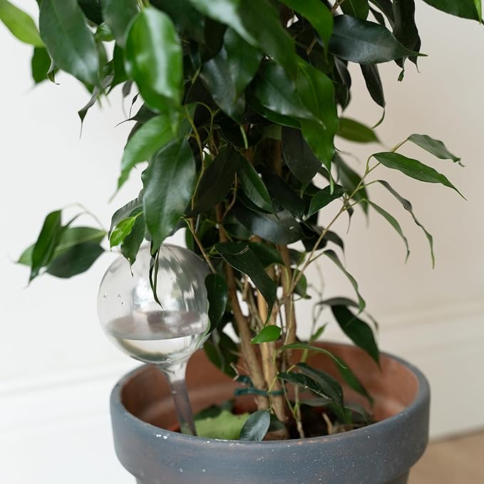 10 Pcs Clear Plant Watering Globes, Plastic Self Watering Planter Insert, Plant Watering Devices, Self Watering Planter Insert Free Soil Moisture and PH Meter Cotswold Homeware