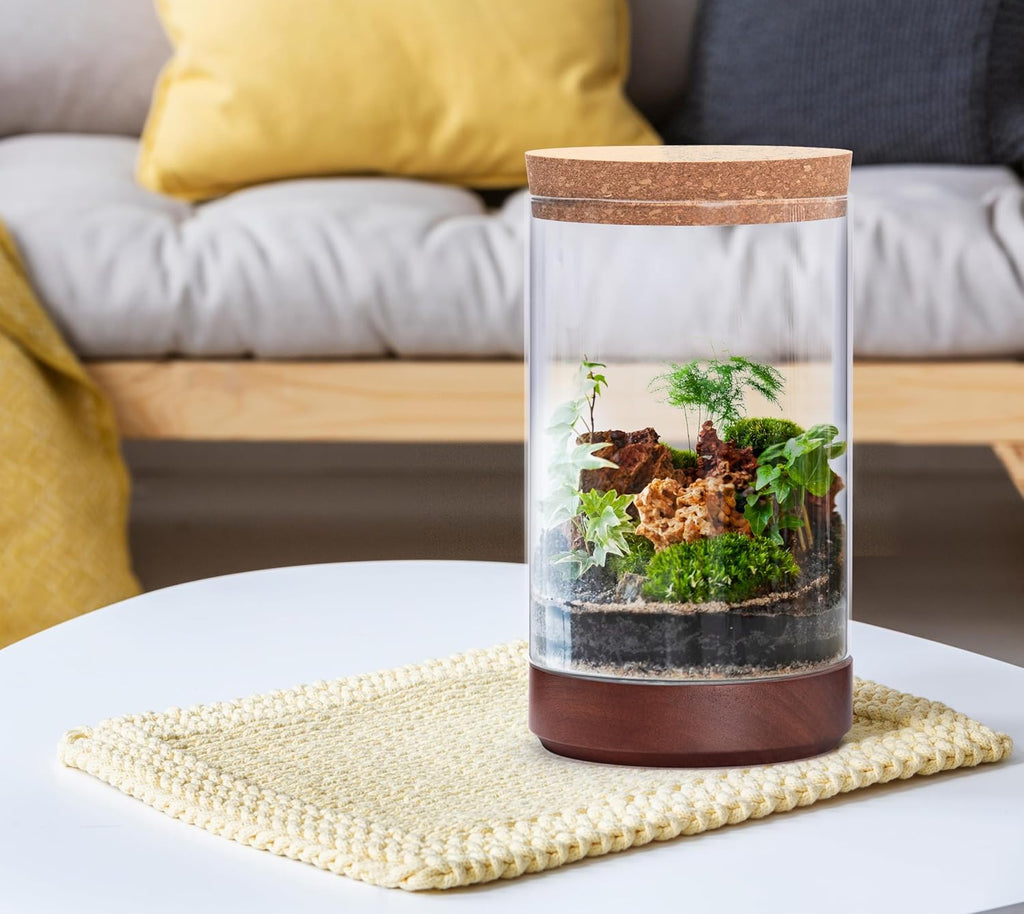 Clear Glass Houseplant Terrarium Planter, 6" W x 10" H, Cylindrical Terrarium with Wooden Base & Cork Lid | Versatile Tabletop Decoration for Home or Office or Hydroponics (Plant Not Included), 41-A-M