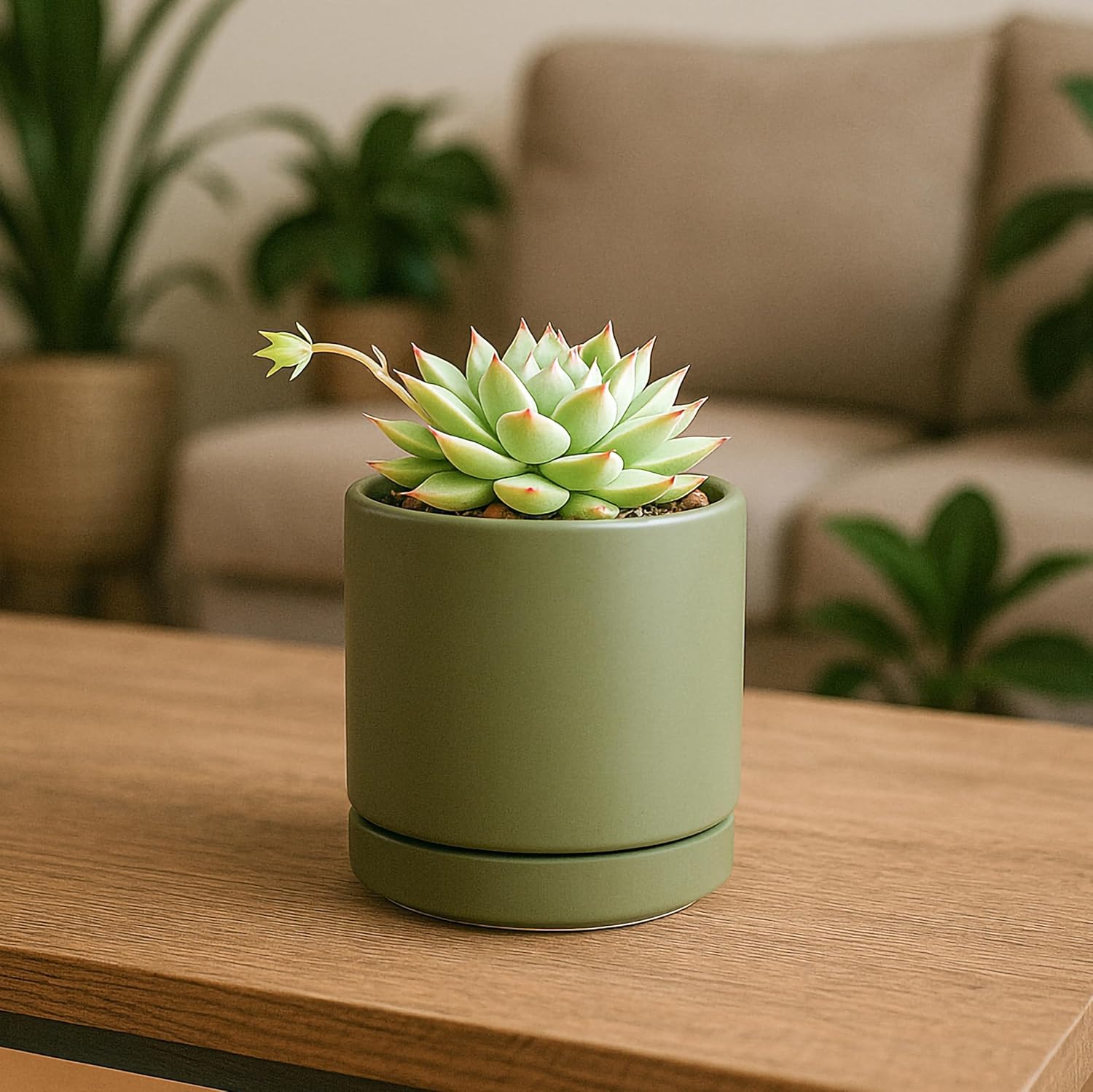 D'vine Dev 3.5 Inch Ceramic Planter Pot with Drainage Hole and Saucer, Indoor Cylinder Round Planter Pot, Olive, 94-O-A-J