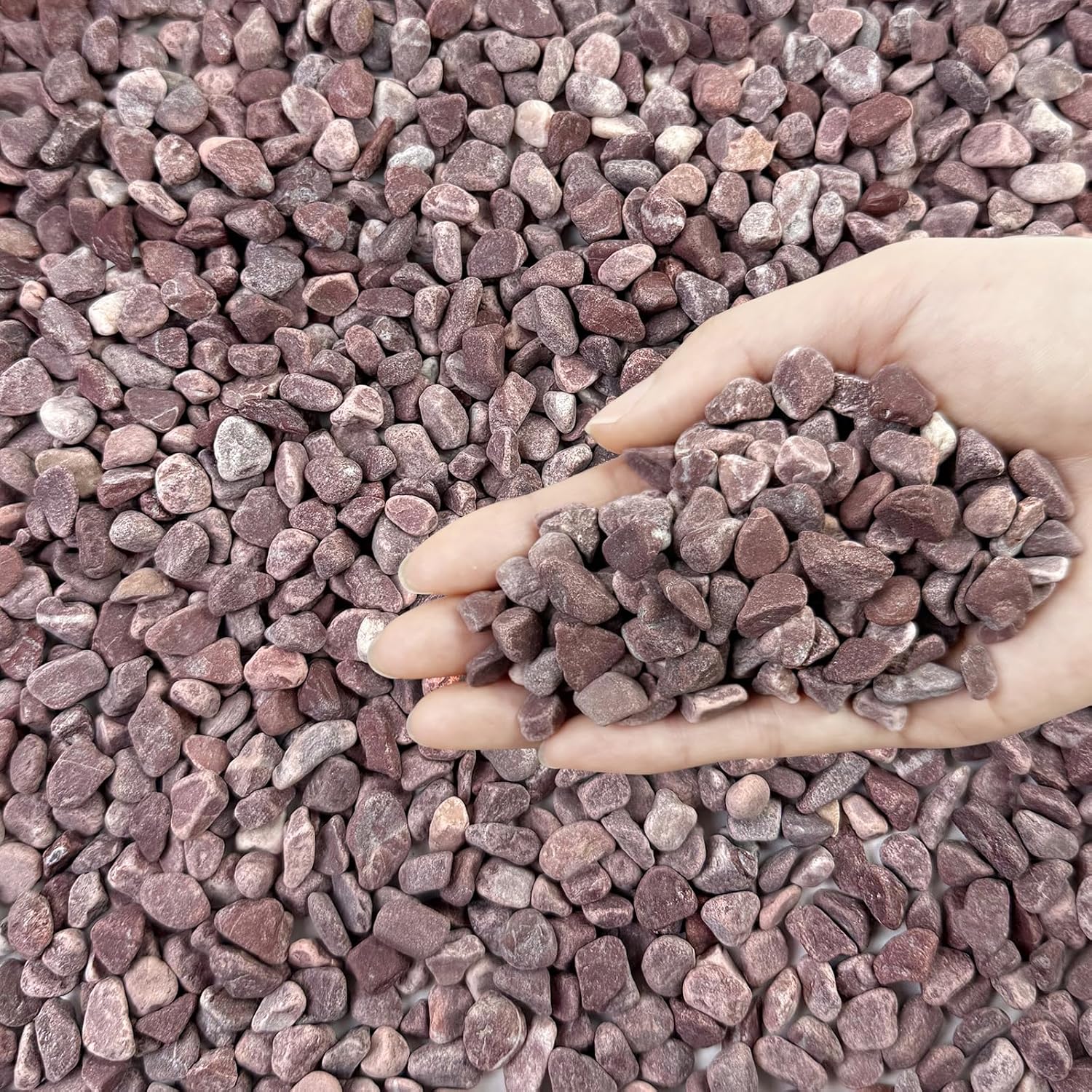 10 lbs Pebbles for Plants, 3/8 Inch Pea Gravel Stones Decorative Red River Rocks for Succulent, Cactus, Landscaping, Vases, Terrarium, Aquarium, Potted Top Dressing and Outdoor Garden