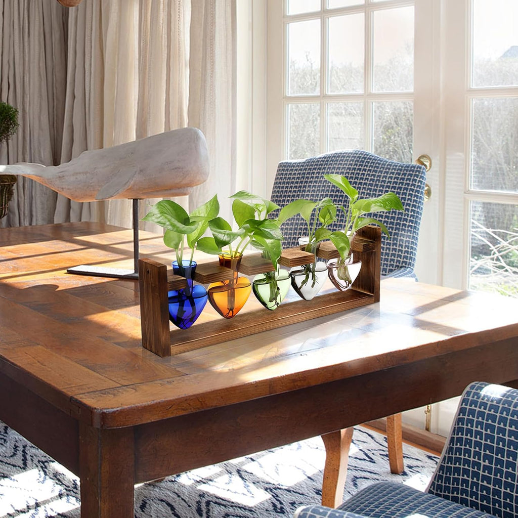 Plant Terrarium Hanging Propagation Stations Gift for Women Plant Lover air Plant Holder with Wooden Stand Heart Glass