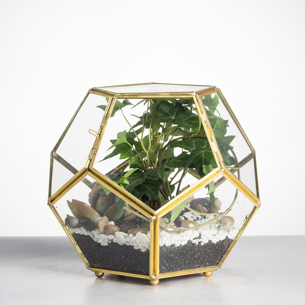 NCYP 6.89 x 6.89 x 5.9 inches Glass Geometric Terrarium Planter with Door and Foot, Pentagon Ball Shape Close Flower Pot for Fern Succulents Plants, Small, Gold (No Plants)